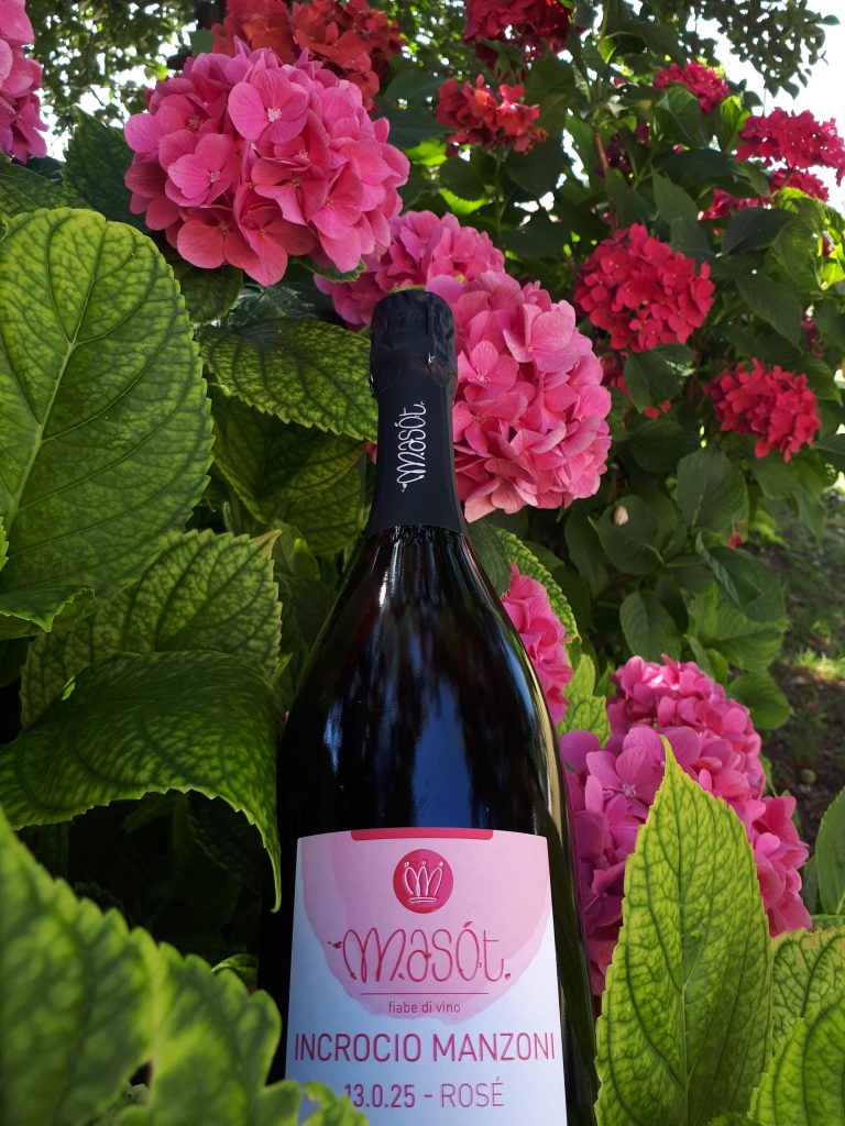 COLLI TREVIGIANI IGT SPUMANTE ROSÉ EXTRA BRUT