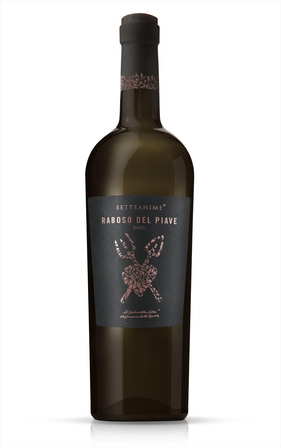 RABOSO DEL PIAVE DOC